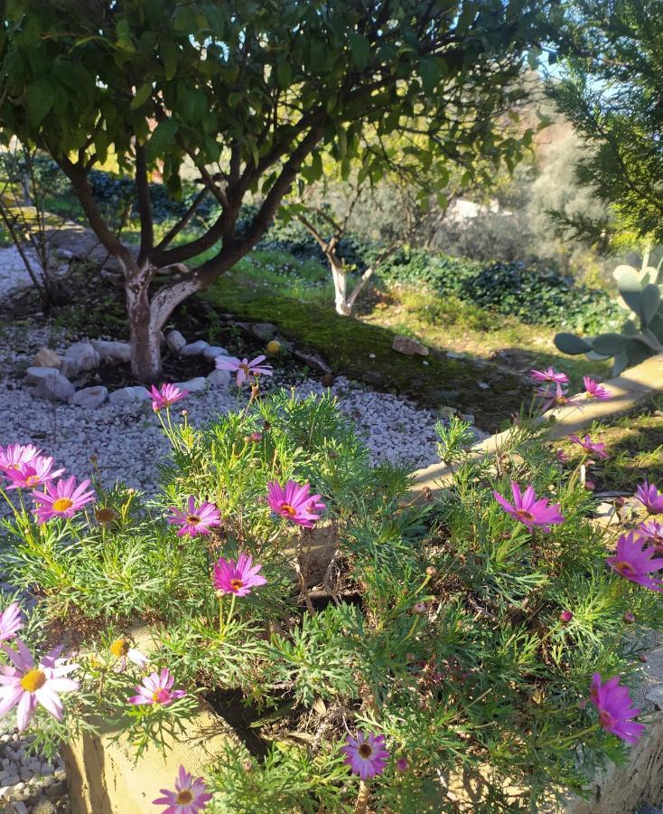 Onur Motel Faralya Fethiye Esterno foto
